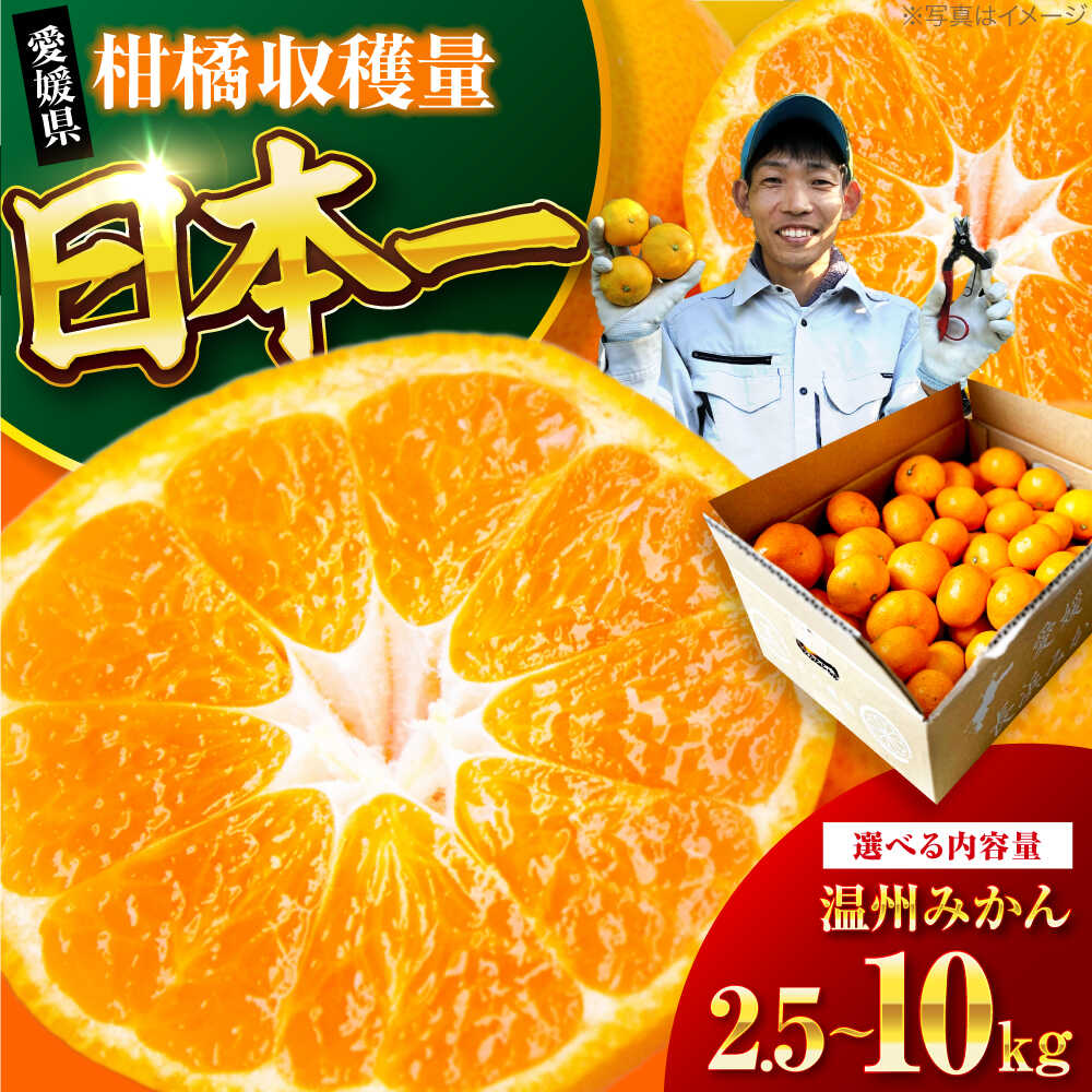 【ふるさと納税】【12月上旬から順次発送】 【選べる容量】温州みかん 2.5～10kg （2S～2L混合サイズ） 大洲市/玉川農園[AGBC005] 先行予約 みかん 蜜柑 温州みかん 果物 くだもの フルーツ 愛媛県産 大洲市産 産地直送 おすすめ 人気 お取り寄せ 送料無料 贈答 ギフト