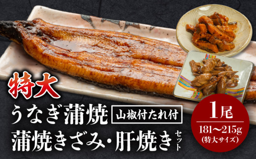 《2025年10月発送予定》国産うなぎ蒲焼(特大サイズ)・きざみ・肝焼きセット_M069-014_01-oct