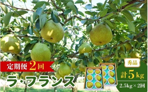 【定期便：全２回】ラフランス　２.５ｋｇを２回お届け　0012-2606