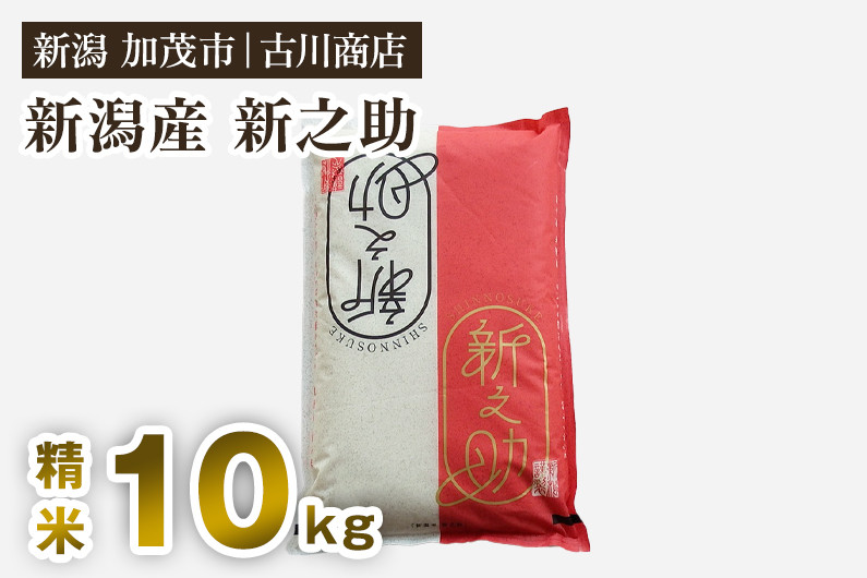 
            【令和7年産新米】新潟の新ブランド米「新之助」精米10kg （5kg×2）《順次発送》 白米 大粒 加茂市 お米の専門店 古川商店
          