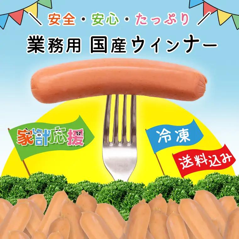 訳あり 国産 ウインナー 3kg 冷凍 ウインナー ソーセージ DV031