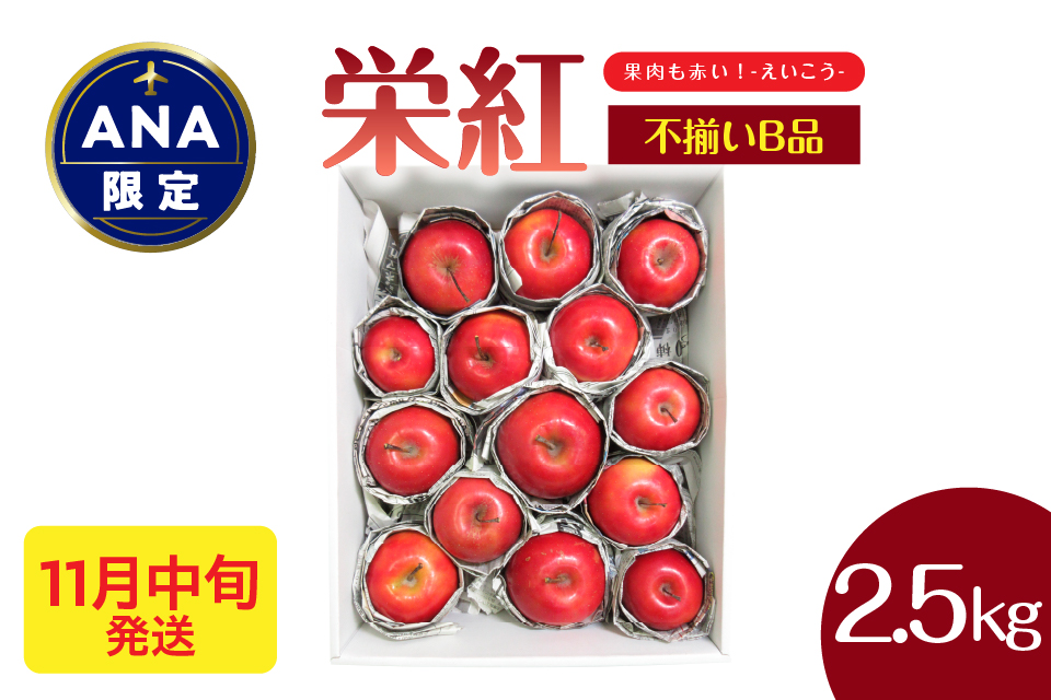 【ANA限定】中まで赤～いりんご<栄紅>【2026年11月中旬発送】訳あり 約 2.5kg 不揃い B品 家庭用 青森県 五所川原市 りんご リンゴ