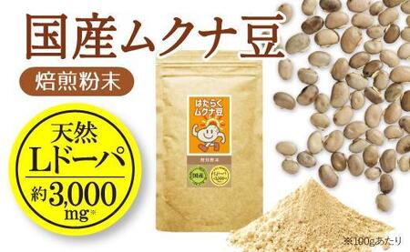 国産ムクナ豆粉末 300g×１袋【老舗生薬屋のムクナ豆】 hoso013