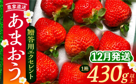 【先行予約】【12月発送】 あまおう 贈答用 エクセレント 430g以上×1箱 《豊前市》【内藤農園】果物 いちご [VAB013]
