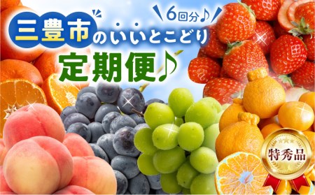 三豊市のいいとこどり定期便♪６回分♪ フルーツ ふるーつ 果物 くだもの 三豊市【配送不可地域：北海道・沖縄県・離島】_M102-0037