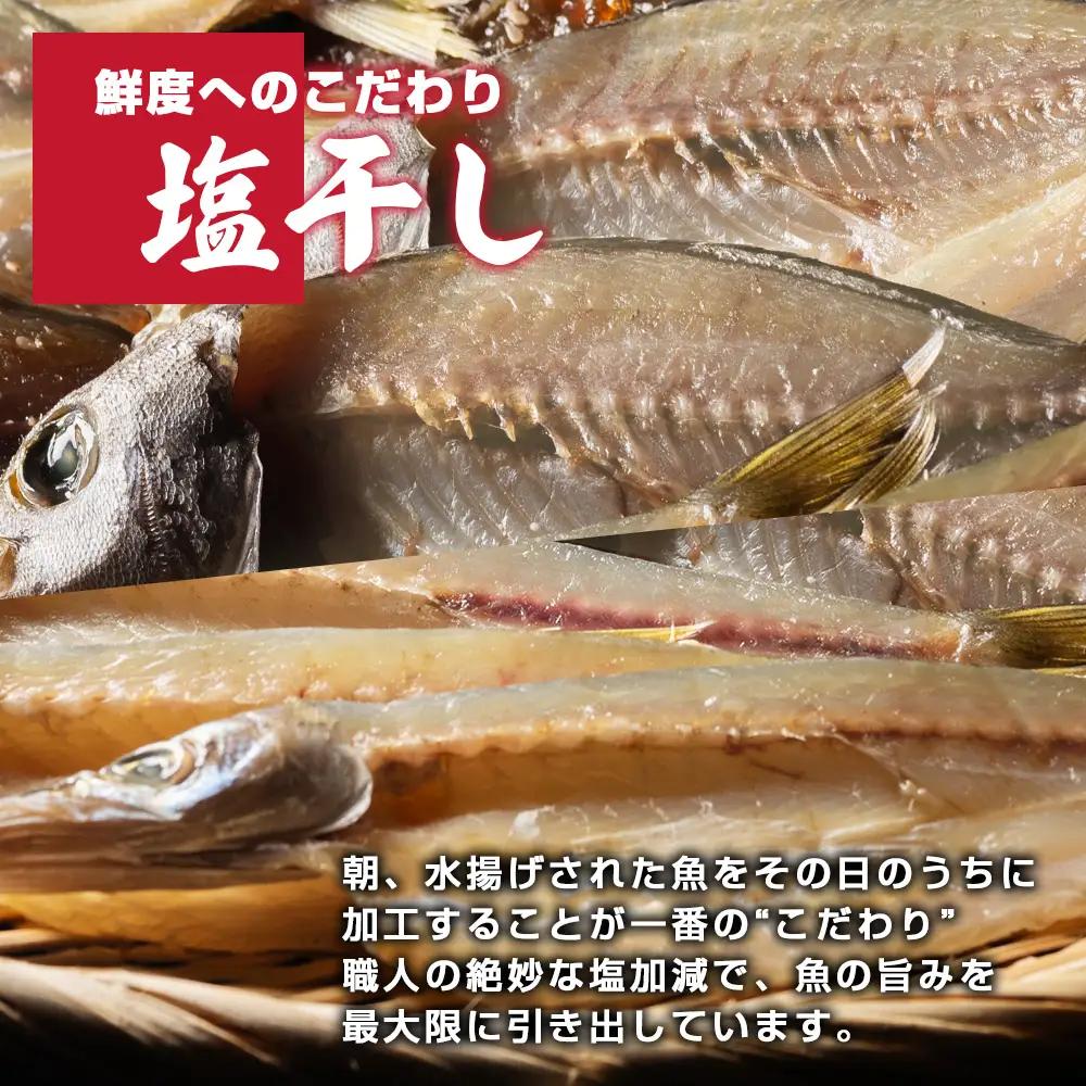 干物 おつまみ セット 6種 干物