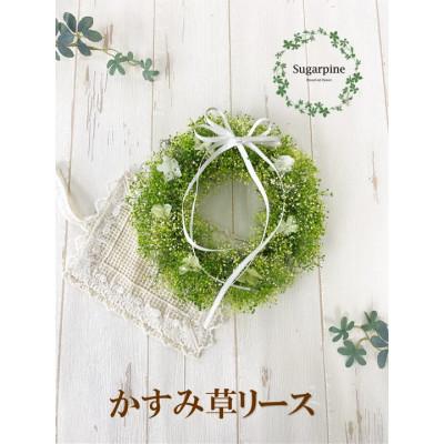 ふるさと納税 春日部市 プリザーブドフラワーリース【アンジュ/グリーン】春日部市 シュガーパイン