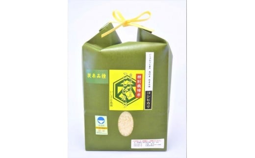【令和７年産】【いしざかさん家の】塩沢産従来コシヒカリ特別栽培米1.8ｋｇ