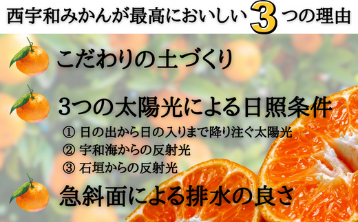 【先行受付】JAにしうわ直送　にしうわ温州みかん　約5kg【C08-97】YWTV050