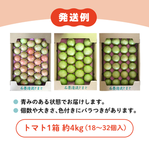 訳あり トマト 8kg そのままでも 美味しい 【石墨清流トマト】糖度9～11度 久万高原町 トマトソース｜トマト とまと 自然栽培 野菜 カレー トマトソース 濃縮 ヒナタ 安心 酸味 甘味 清流 