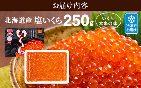 【令和7年新物】北海道産塩いくら　250g×1パック【配送不可地域：離島】【1709818】