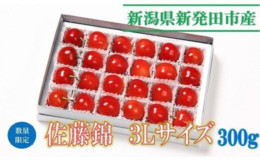 【数量限定】佐藤錦3L 300g　C04_01