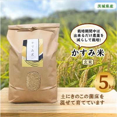 ふるさと納税 潮来市 【毎月定期便】栽培期間出来るだけ農薬を減らして作る「かすみ米」玄米5kg全3回