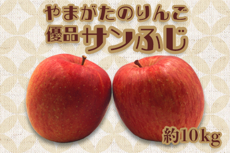 【2026年発送】「優品」山形のりんご（サンふじ）約10kg_H171(R8)-2