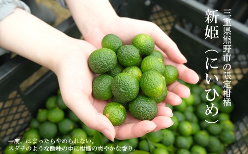 熊野だしを味わうセット（だしパック、新姫七味、ハバネロ七味）【kmys0011A】