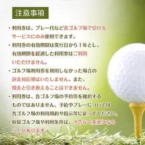 豊田市ゴルフ場利用券40枚（市内16ゴルフ場利用可）