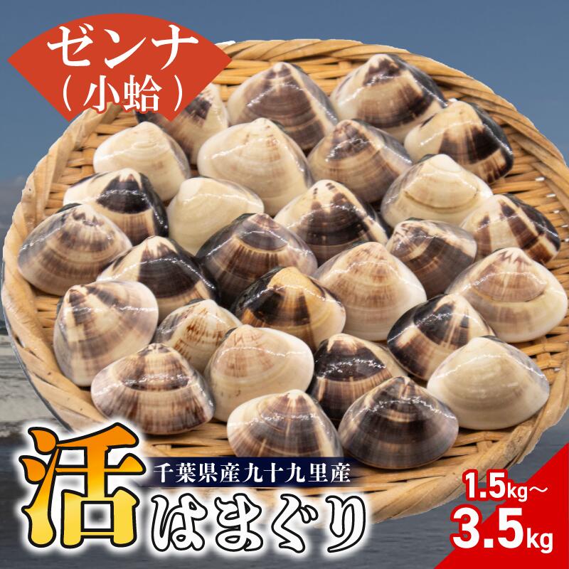 【ふるさと納税】 九十九里産 活 はまぐり ゼンナ 選べる 約1.5kg/約2.5kg/約3.5kg ハマグリ 蛤 砂抜き 冷蔵 魚介 魚貝 魚介類 海鮮 貝 貝類 酒蒸し グラタン 九十九里浜 お祝い 祝い ひなまつり ひな祭り 節句 おせち 贅沢 株式会社丸六 旭市 千葉県