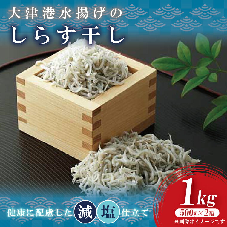 【ふるさと納税】大津港水揚げのしらす干し　1kg(500gx2箱) (AS206)