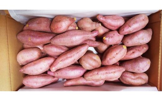 【新芋発送開始】 サツマイモ 詰め合わせ 5キロ ミエルスイート ＋1種類以上 安納黄金 紅はるか 土佐紅 焼き芋 焼いも 焼芋 やきいも 野菜 やさい 食品 人気 おすすめ 高知県 南国市