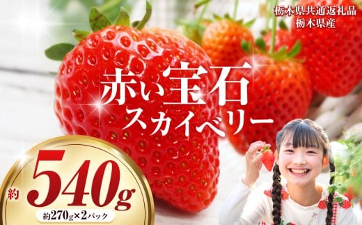 【栃木県共通返礼品】赤い宝石「スカイベリー」約270g×2パック |  選べる いちご 苺 とちあいか 栃木県 那珂川町 送料無料 デザート ご褒美 美味しい 甘い フルーツ ジューシー