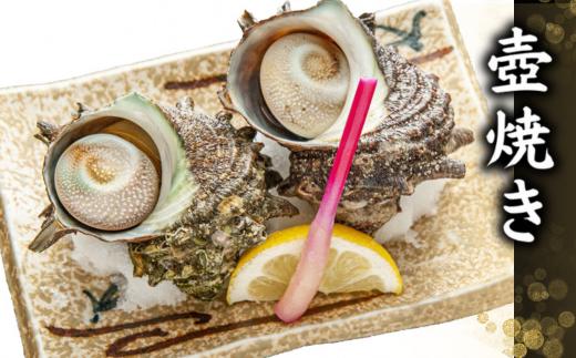 【サザエ 兵庫県香住産 新鮮 天然 活サザエ 2kg（14～20個）冷蔵】※発送目安：入金確認後、順次発送 香住で水揚げされた新鮮なサザエをお届けします。つぼ焼き、炊き込みご飯（サザエ飯）、酒の肴など