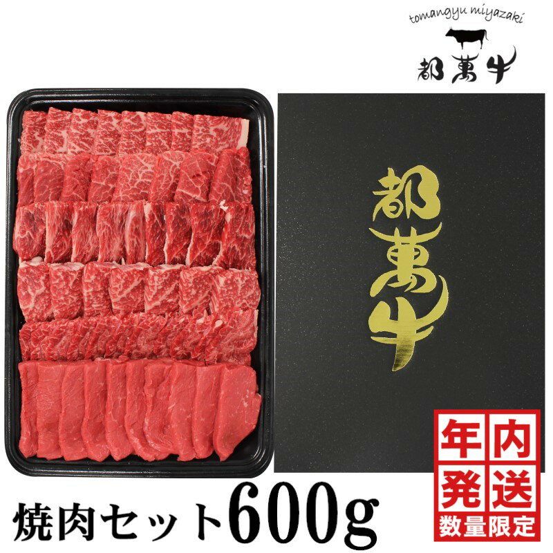 【ふるさと納税】都萬牛 焼肉セット600g ふるさと納税 黒毛和牛 焼肉 国産 牛肉 部位おまかせ＜2-24＞