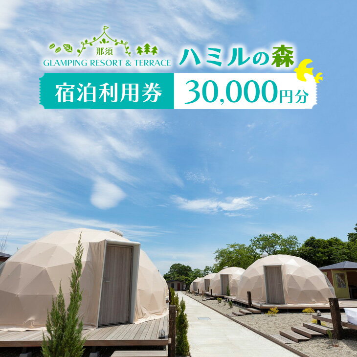 【ふるさと納税】那須ハミルの森 宿泊利用券 (30,000円分) ｜グランピング ドームテント 宿泊券 旅行券 チケット 旅行 券 利用券 補助券 アウトドア レジャー BBQ 体験 観光 プライベート 記念日 誕生日 特別 癒し 国内旅行 家族旅行 那須高原 夏休み 冬休み 春休み〔G-20〕