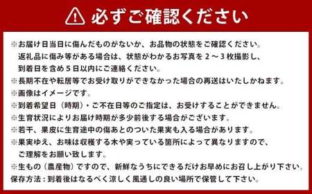 ハウスみかん13-15玉＆アールスメロン1玉セット【2026年7月上旬発送開始】 ハウスみかん みかん ミカン 13-15玉 アールスメロン メロン 1玉 セット フルーツ 熊本県産 国産 くだもの 