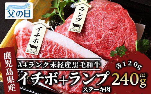 
                  【父の日ギフト】＜A4ランク未経産黒毛和牛＞【指宿育ち】イチボ+ランプステーキ各120g(Meat you/IB029-001f) 指宿 鹿児島 肉 グルメ 肉 牛肉 ステーキ イチボ ランプ 和牛 黒毛和牛  父の日 ギフト プレゼント 贈り物 
                