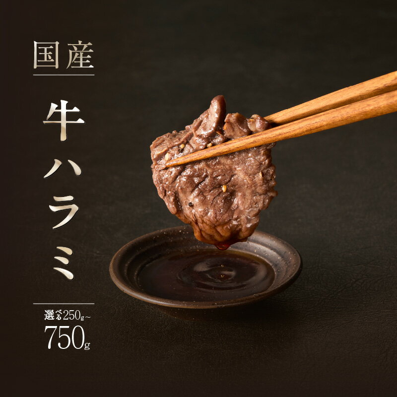 【ふるさと納税】 「京都人気焼肉店」貴重！肉汁溢れる 国産牛ハラミ 選べる内容量 （250g・500g・750g） 国産ハラミ 貴重 自家製ダレ プロの味 ｜ 焼肉 牛ハラミ 楽天ふるさと納税 肉 牛肉 BBQ バーベキュー グルメ ホルモン