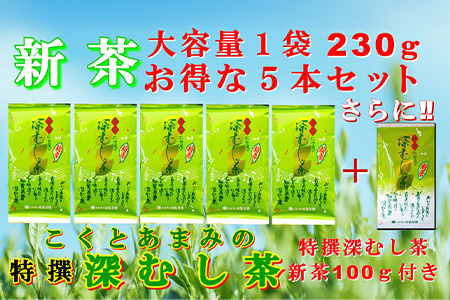 129-05-1 【知覧茶新茶祭り】【期間限定･増量】知覧茶園の特撰深むし茶 大容量 5本セット 特撰深むし茶100g付