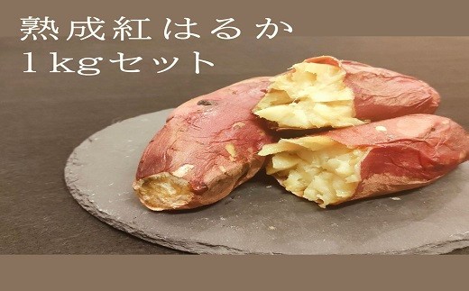 熟成紅はるか1kg(真空ひやし焼き芋)