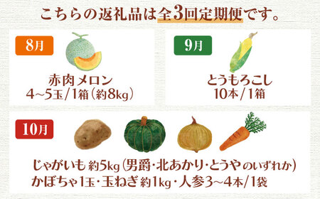 【全3回定期便】【8～10月限定】【ニセコ町産】旬の恵み 3品目 《喜茂別町》【ニセコビュープラザ直売会協同組合】 メロン とうもろこし じゃがいも かぼちゃ 夏野菜 秋野菜 季節の野菜 先行予約 [