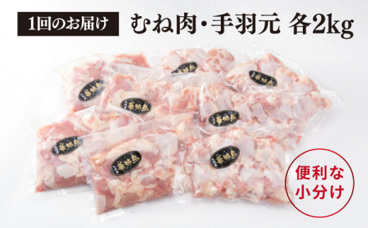 【全12回定期便】【合計4kg】糸島産 華味鳥 むね肩肉 2kg / 手羽元 2kg 糸島市 / 糸島ミートデリ工房 [ACA337] 国産 鶏肉 小分け 鍋 おでん バーベキュー 胸肉 鳥 むね肉 