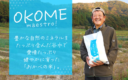 【先行予約】令和8年産 愛情たっぷり健やかに育った ツヤツヤ ハナエチゼン（白米）5kg【2026年9月上旬以降順次発送予定】 [m29-a027]