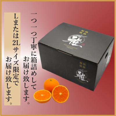 2026年3月出荷開始　極撰柑橘【雅】光センサー合格品・完熟「清見」3キロ【C39−56】【配送不可地域：離島】【1462396】