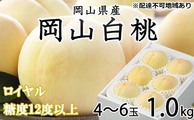 桃 2025年 先行予約 岡山 白桃 ロイヤル 4～6玉 約1kg JAおかやまのもも（早生種・中生種） もも モモ 岡山県産 国産 フルーツ 果物 ギフト