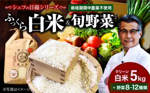 【お米 5kg＋野菜】シェフの目線で厳選！クリーン白米 5kg+旬のお野菜セット【ふるさと納税限定】大洲市/（有）ヒロファミリーフーズ [AGBX009]お米 5kg 白米 5kg あきたこまち 野菜定期便 野菜 定期便 野菜 詰め合わせ 野菜セット 