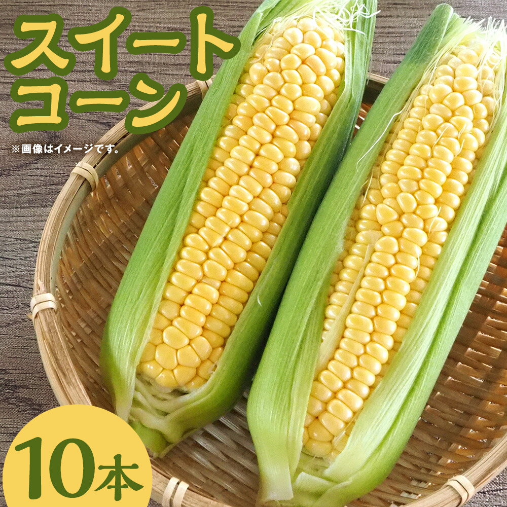 【ふるさと納税】朝どり新鮮 スイートコーン とうもろこし ゴールドラッシュ 10本 朝採り トウモロコシ 野菜 福岡県産 九州産 国産 送料無料【2025年6月下旬～8月上旬に順次発送予定】
