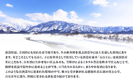 高野酒造 水の都 柳都 吟醸酒 1800ml