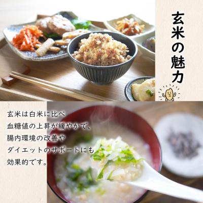 ふるさと納税 境町 米 玄米 コシヒカリ 5kg 令和8年産 国産 お米 茨城県 境町産 こしひかり |  | 01