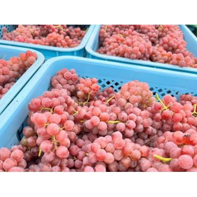ふるさと納税 南陽市 【数量限定】グレリパ チルドレッド&オレンジ 6本セット750ml×6本 【S2339】 |  | 02
