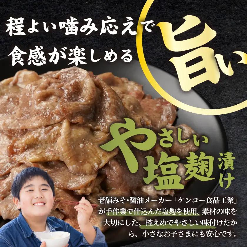 牛タン切り落とし 塩麹タレ漬け1.5kg〔16-3305〕_(都城市) 