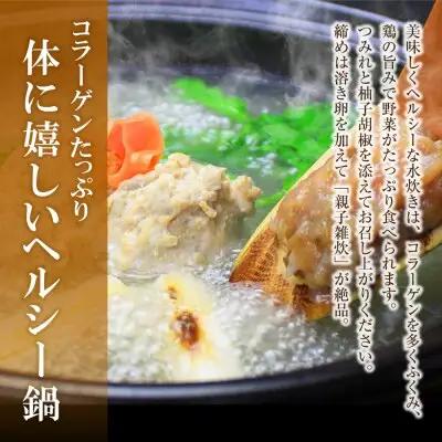 Z69-21 おどろきっちん 博多水炊きセット 2～3人前 水炊き