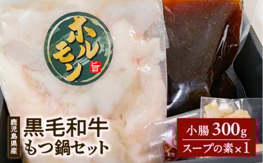 鹿児島県産黒毛和牛もつ鍋セット　K328-011