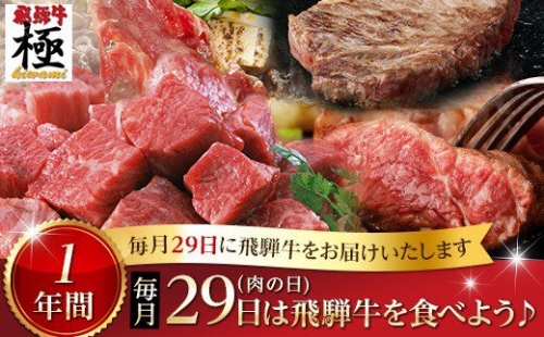 《自分へのご褒美にも》飛騨市推奨特産品飛騨牛極　毎月29日（肉の日）　飛騨牛を食べよう！　1年バージョン[O0002]