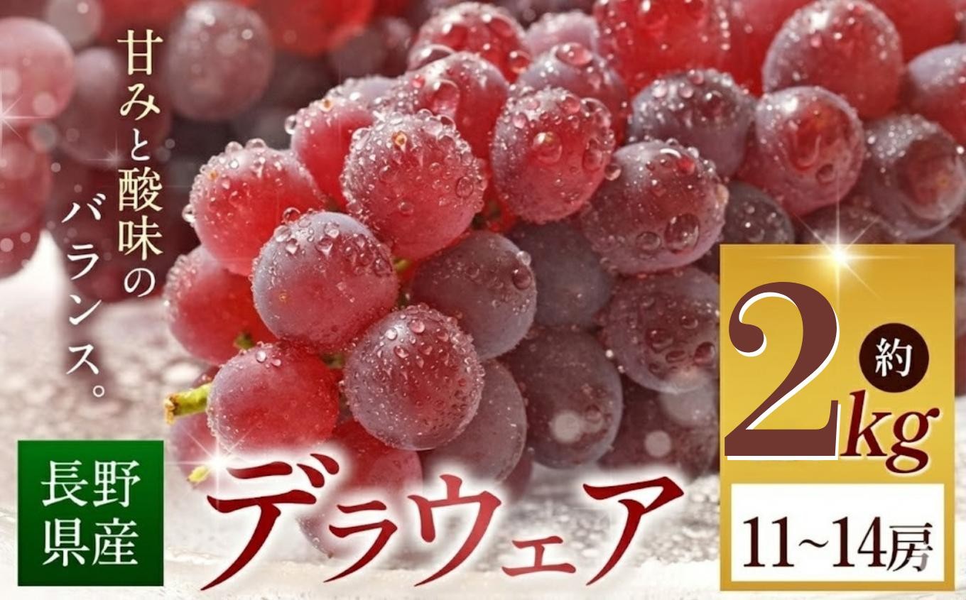 
                  【2026年先行予約】 デラウェア  約2kg (11～14房) 【8月下旬～9月下旬にかけて順次発送予定】 | デラウェア 果物 くだもの フルーツ 葡萄 ぶどう ブドウ 長野県 塩尻市
                