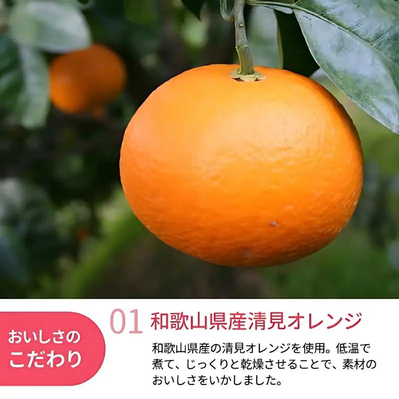 和歌山県産 ドライフルーツ  清見オレンジ  20g×5袋 / 清見オレンジ オレンジ おやつ 小腹 お菓子 健康【kng018-1】