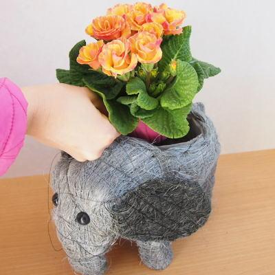 ふるさと納税 朝倉市 可愛いぞうさんフラワーバスケット(2匹) |  | 01