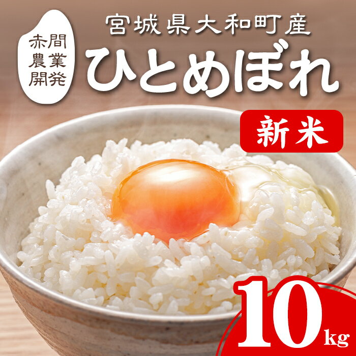 【ふるさと納税】＜令和7年産 新米＞ひとめぼれ 10kg お米 おこめ 米 コメ 白米 ご飯 ごはん おにぎり お弁当【赤間農業開発株式会社】ta461